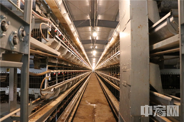 1604194889680038.png 圖片5.png