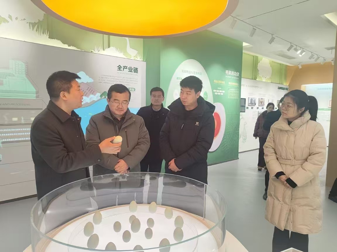 央視農(nóng)業(yè)農(nóng)村頻道調(diào)研高郵鴨集團(tuán)